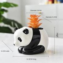 White Porcelain Succulent Pot Animal Panda Home Potted Ceramic Garden Supplies Home Decoration Ins Nordic Style Simple A