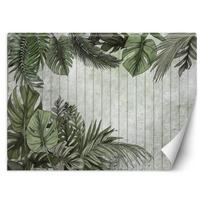 Wallpaper Exotic leaves on plank background 100x70 žalia