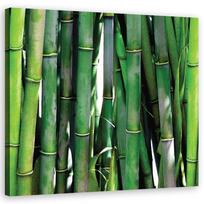 Canvas print, Green bamboo for the office 30x30 žalia