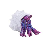 3D spausdinta atsiskyrėlio krabo figūrėlė, judančios jungtys, krabo veiksmo figūrėlė, artikuliuojamas gyvūno modelis, stalo dekoracija, ornamentas, dovana vaikams, suaugusiems L raudona