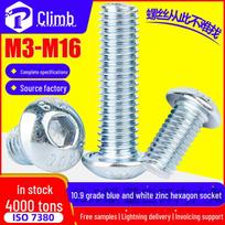 10.9 Grade High-Strength Blue & White Zinc Hex Socket Screws & Round Cup Head Bolts M4 M5 M6 M3*12