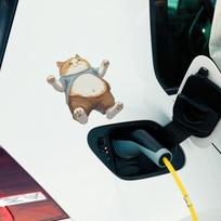 Mielas Didelis Storas Oranžinis Katinas Automobilio Stiklo Gražinimo Dekoracija Langų Lipdukas 16*16cm/fun-f491