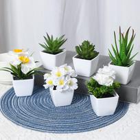 6PCS, artificial plants small bonsai, DIY crafts desktop windowsill display rack display decoration 6PCS
