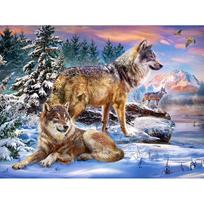 Deimantinis paveikslas Vilkas Visas apvalus Kalnų krištolas paveikslėlis Deimantinis siuvinėjimas 20X30CM black