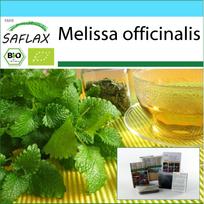 SAFLAX - Dovanų rinkinys - Ekologiškas - Melisa - 1000 sėklų - Su dovanų dėžute, kortele, etikete ir vazono substratu - Melissa officinalis