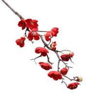 Neblunkantis dirbtinių gėlių išskirtinis audinys Vivid Simulation Plum Blossom šviesiai rausvos spalvos
