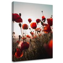 Drobės spauda, Aguonos saulėje 40x60 raudona