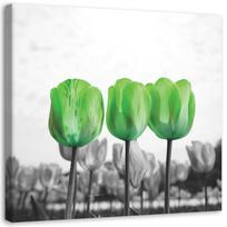Drobės spaudinys Gėlės Žali tulpes 30x30 žalia