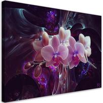 Spaudinys ant drobės Balta orchidėja tamsiame fone 60x40 violetinė