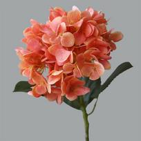 Dirbtinė hortenzija 57cm/22.4in Festivalis Vestuvių Vakarėlis Gėlių Meno Dekoracija Restoranas Svetainė Namų Dekoracija SL-AC-C-orange- brown