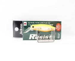 Jackson Resist 45 Floating Lure HTC (6667)