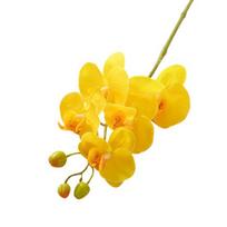 Dirbtinės kandžių orchidėjos su stiebu tikroviškos 5 galvų netikros Phalaenopsis gėlės namų biuro stalo centrinė dalis dirbtinių gėlių šakelių gėlių kompozicija