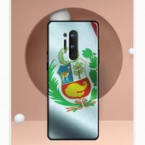 Peru Flag Case For OnePlus Ace 11 9 10 Pro 9RT 10T 8T Cover For OnePlus Nord CE 2 Lite 2T N10 N20 OnePlus Nord N200