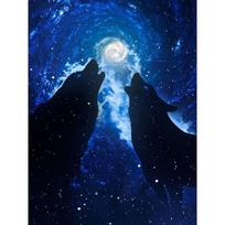 Deimantinis paveikslas 5d Moon Wolves Deimantinis siuvinėjimas Viso ekrano deimantinės mozaikos kryželiu paveikslėlis 20X30CM blue