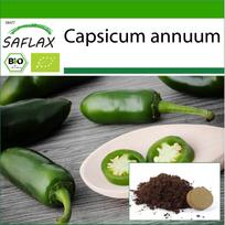 SAFLAX Ekologiški – Karštieji čili pipirai – Ankstyvasis Jalapeno – 20 sėklų – Su vazoniniu substratu geresniam auginimui – Capsicum annuum