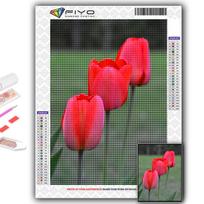 5D Diy Diamond Painting Flowers Tulips Cross Stitch Full Diamond Embroidery Mosaic Full Round 20X30CM red