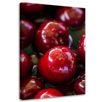 Feeby Canvas print, Juicy vyšnios 40x60 raudona