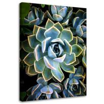 Canvas print Succulent Flowers Plant 40x60 žalia