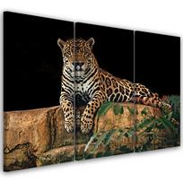 Trijų dalių paveikslų spausdinimas ant drobės Leopard Panther Cat Animal 60x40 oranžinė
