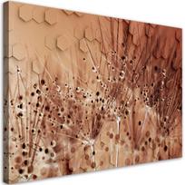 Canvas print Dandelion in dewdrops 60x40 oranžinė