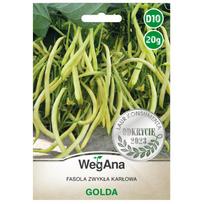 Nykštukinės paprastosios pupelės Golda seeds 20g pupelių sėklos - WegAna