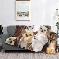 Chihuahuas Dog Wool Blankets animal cute Cartoon Creative Throw Blanket for Home 200x150cm Rug Piece 75x100cm 30x40in