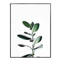Skandinaviški Tropiniai Augalai Žali Lapai Monstera Palmė Plakatas Paveikslai Dekoratyviniai Paveikslai Drobė Sienų Menas Modernus Namų Dekoras 21x30cm No Framed