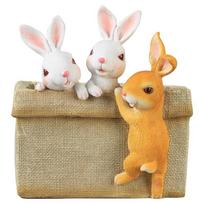 Nordic Multifunctional Tissue Box Cat and Dog Cosmetic Storage Box Living Room Remote Control Storage Box F gray
