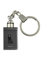 Schipperke, Little Black Devil, Little Captain - Crystal key ring with dog photo, illuminated key ring, unique gift by Art-Dog brand skaidri