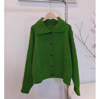 Lazy Wind Polo Lapel Sweater Jacket Women's Fall and Winter Soft Knitted Cardigan One size žalia