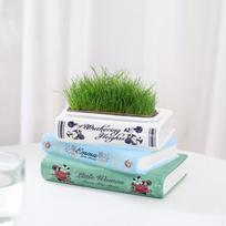 Vase Flower Pot Decoration Small Decorative Succulents Planter Ceramic for Shelf
