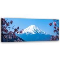 Canvas print, Cherry blossoms and Mount Fuji 90x30 mėlyna