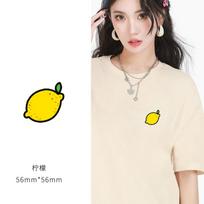 Šilumos perdavimo lipdukas Poros drabužiams T-shirt Dekoratyvinis rašto spausdinimas Šilumos perdavimo lipdukas Lipdukas karštam lyginimui Mažas 4 #lemon beige