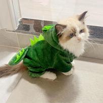 Pet Cat Dog Halloween Dog Clothes for Small Dogs Funny Dinosaur Cosplay Costume Winter Warm Cat Coat Fleece Hoodies Sweater XS