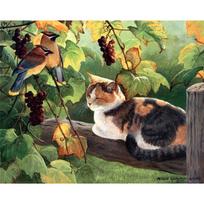 Deimantinė tapyba katėms ir paukščiams Visas deimantinis mozaikos deimantinis siuvinėjimas kryželiu dekoras 20X30CM