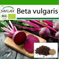 SAFLAX – Ekologiški – Burokėliai – Detroit Globe – 100 sėklų – Su vazoniniu substratu geresniam auginimui – Beta vulgaris