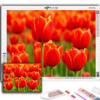 5D DIY Deimantinė tapyba Kryželiu Gėlės Tulpės Deimantinė siuvinėjimo mozaika Sienų menas Namų dekoravimas Full Round 20X30CM orange