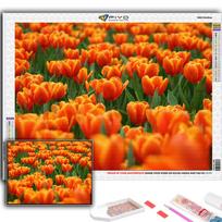 Diamond Painting Flowers Tulips Embroidery Cross Stitch Rhinestone Home Decor Full Round 20X30CM black