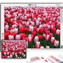 Popular 5D Diy Cross Stitch Flowers Tulips Painting Full Drill Cross-Stitch Crafts Kit Wall Sticker Home Decor Full Round 20X30CM red