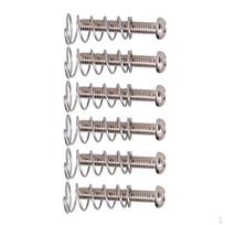 6 Vnt. Elektrinės gitaros tilto galinio stygų laikiklio tvirtinimo varžtų + spyruoklių rinkinys Sidabrinis 18 x 3 mm
