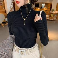 Fashion New Turtleneck Knitted Sweater for Women Autumn and Winter Slim Fit Warm Pullover Sweater Tops Office Lady Elegant Solid Knitwears 24831 One Size juoda