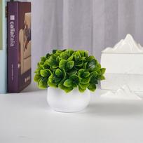 Simuliacinis Bonsai Stalo Ornamentas Namų Sodui Mažas Mini Žalumynas Mikro Peizažas Namų Dekoracijos