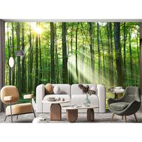 Natural Landscape Wallpaper Forest Wall Paper Sunny Forest Wall Mural Suitable For Children's Room Living Room Bedroom Mural 200 cm(W) x 140 cm(H)