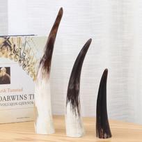 Natūralūs autentiški ragų papuošalai Single Yellow Single Afrikos ragas 15-20cm