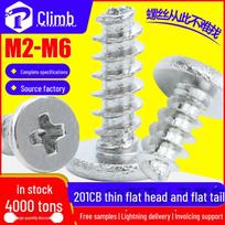 201 Stainless Steel Cross Thin Head Flat Tail Self-Tapping Screws, Large Flat Head, M2/M3/M4 M2*3