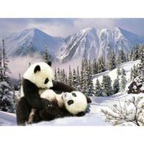 „Pasidaryk pats“ deimantų tapyba „Animal China Giant Panda“ kryžminio dygsnio pilnas cirkonio inkrustacijos deimantinis siuvinėjimas 20X30CM gray