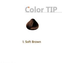 Richenna Easy Speedy Vita kapsulės plaukų dažai [šampūno tipo dažai] 5ea (tubelė) - 2 spalvos 1. Soft Brown