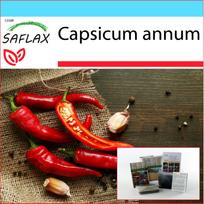 SAFLAX – Dovanų rinkinys – Čili – De Cayenne – 20 sėklų – Su dovanų dėžute, kortele, etikete ir vazono substratu – Capsicum annum