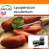 SAFLAX - Sodas maišelyje - Pomidoras - San Marzano - 10 sėklų - Su substratu tinkamame stovimame maišelyje - Lycopersicon esculentum