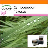 SAFLAX - Sodas maiše - Citrinžolė - 50 sėklų - Su substratu tinkamame stovimame maišelyje - Cymbopogon flexosus